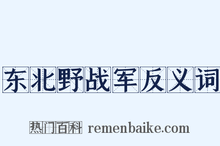 东北野战军反义词是什么意思的图片